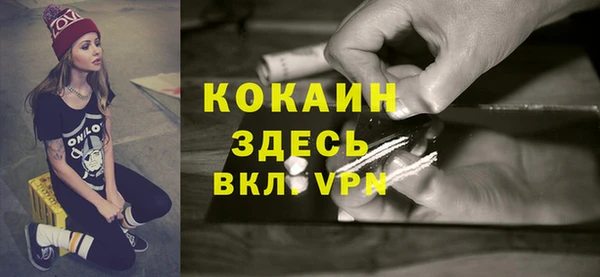 трава Бородино