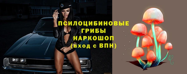 бошки Бронницы