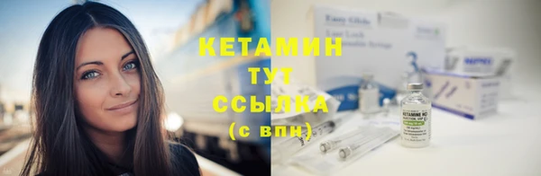 трава Бородино