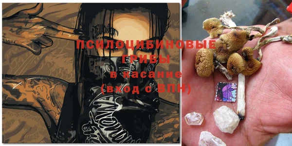2c-b Бугульма