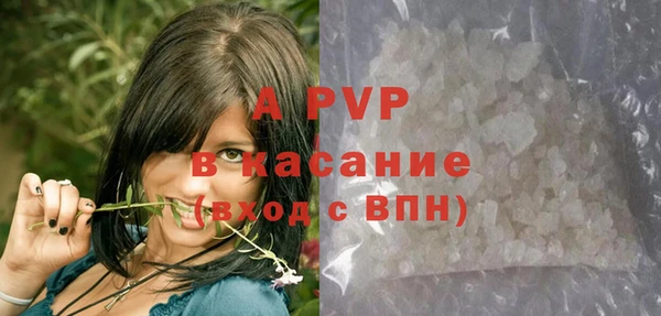 трава Бородино
