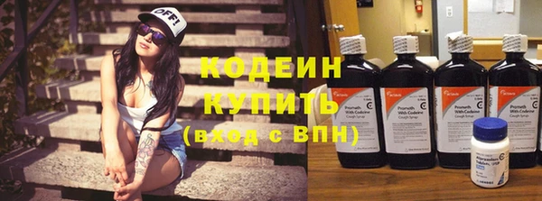 трава Бородино