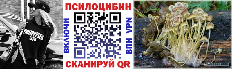Галлюциногенные грибы Cubensis  Карачаевск 